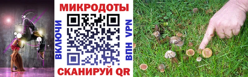 Галлюциногенные грибы мухоморы  MEGA вход  Вилюйск 